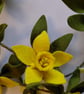 Felt Daffodil Garland: Handmade Floral Spring Decor - Image 6