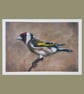 Goldfinch Bird Art Print (A4) 