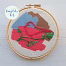 Christmas robin embroidery kit