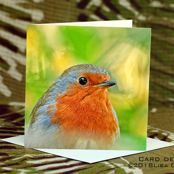 Exclusive Handmade Robin Swirl Greetings Card on Archive Photo Paper