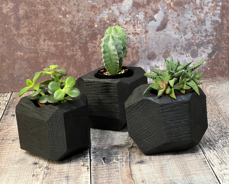 Burnt Wood Decorative Plant Holder