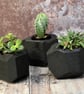 Burnt Wood Decorative Plant Holder - Image 1