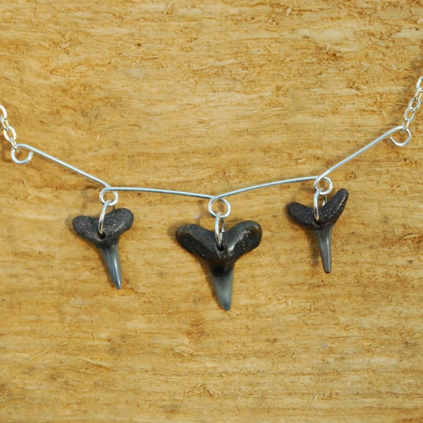 Shark teeth pendant