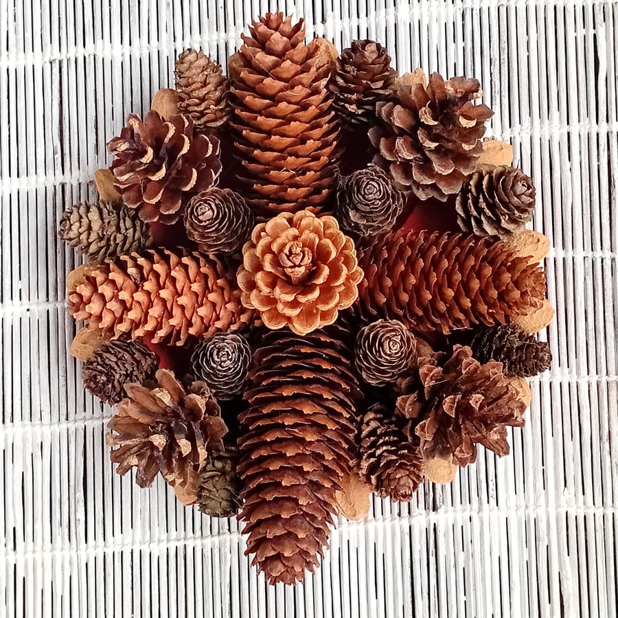 Small 'roundel' cone wreath, Christmas table, mantle piece, wall display