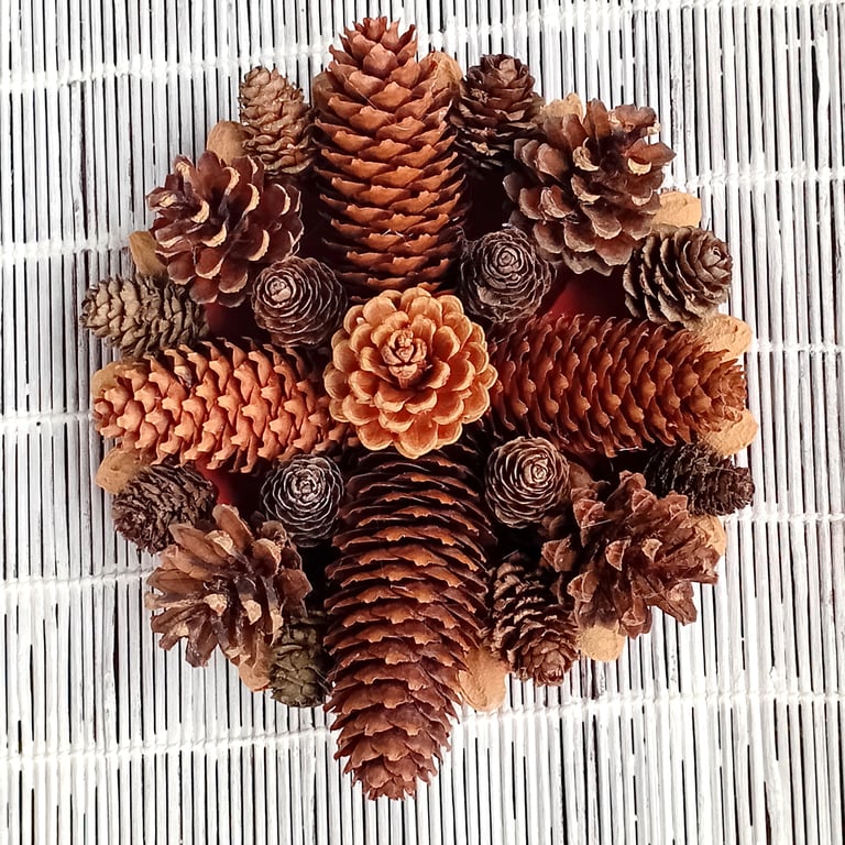 Small 'roundel' cone wreath, Christmas table, mantle piece, wall display