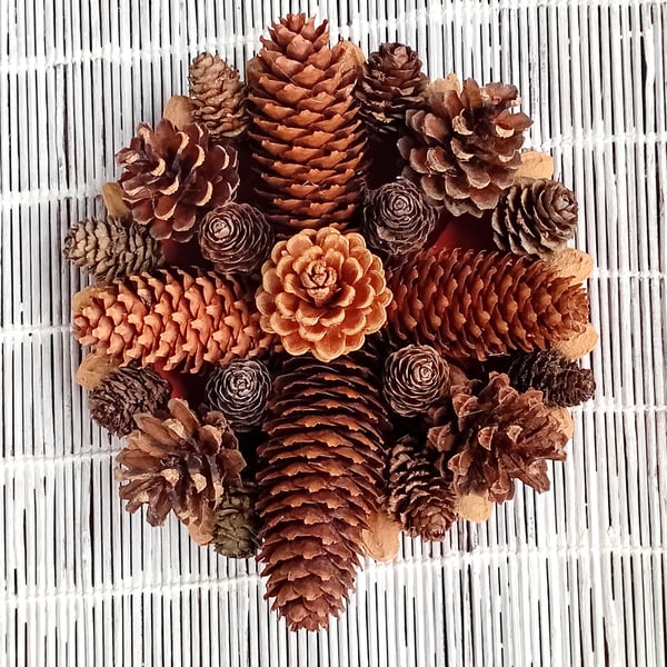 Small 'roundel' cone wreath, Christmas table, mantle piece, wall display
