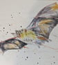 Twinkle Twinkle Little Bat, a signed print of a Horseshoe Bat - Image 3