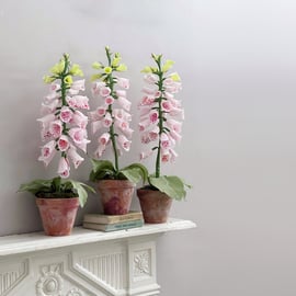 Paper Foxglove Plant Mother's Day Gift