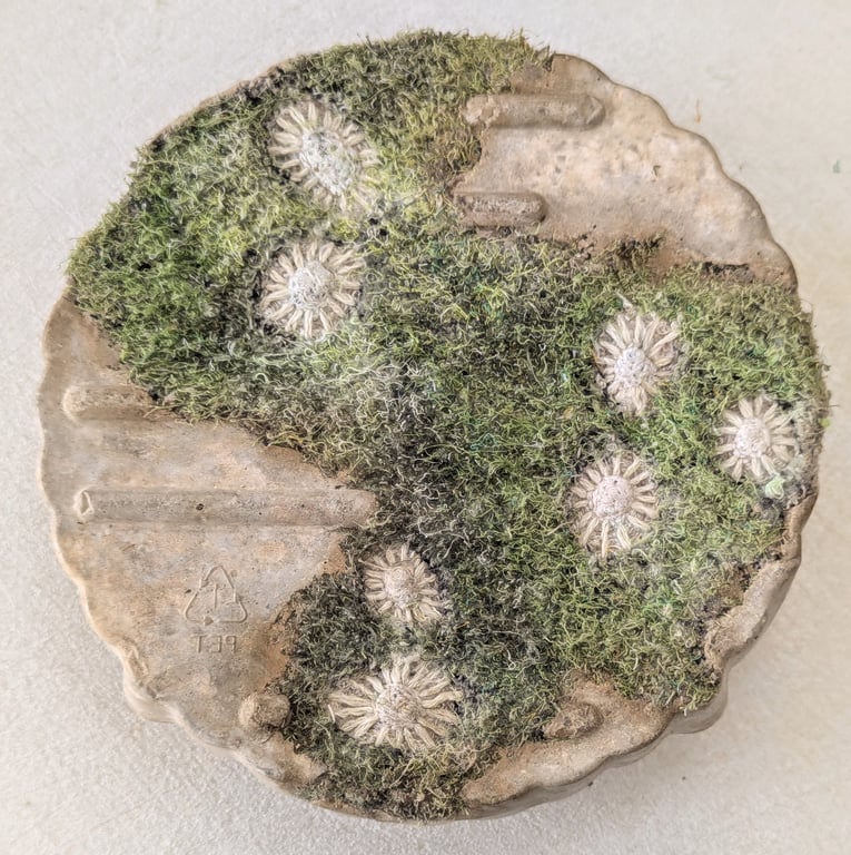 Beached round green plaque - sculpture from recycled materials (standard green)