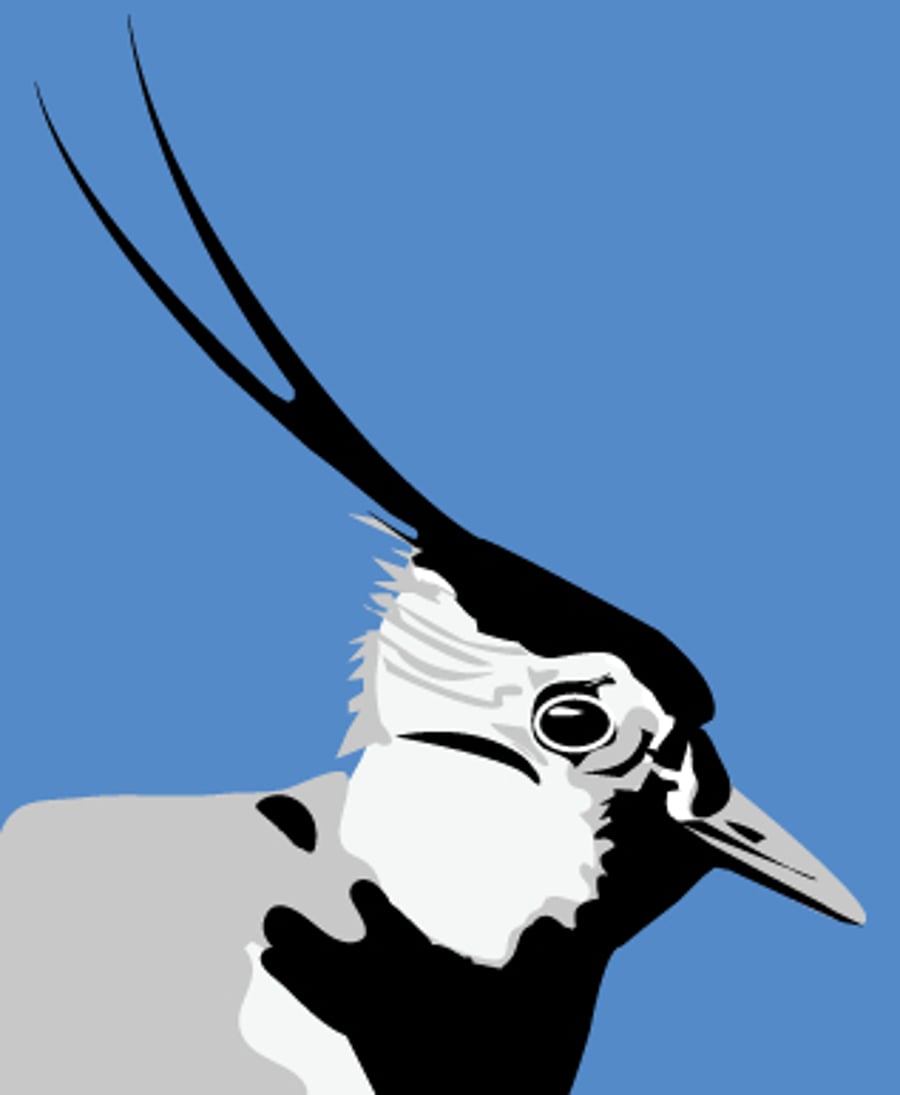 Lapwing Printworks