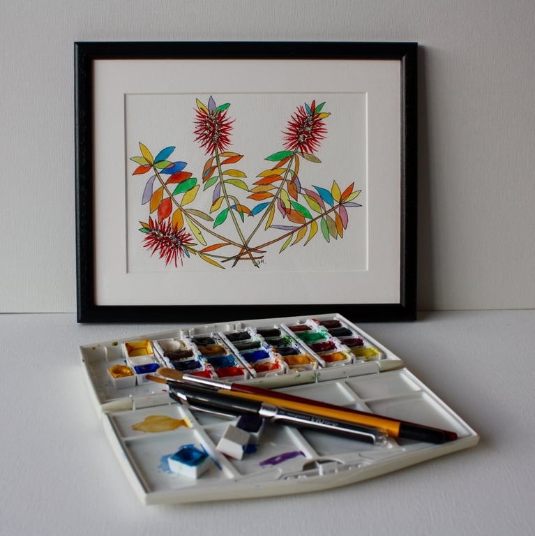 BOTTLEBRUSH PEN AND WATER-COLOUR SKETCH FRAMED IN BLACK