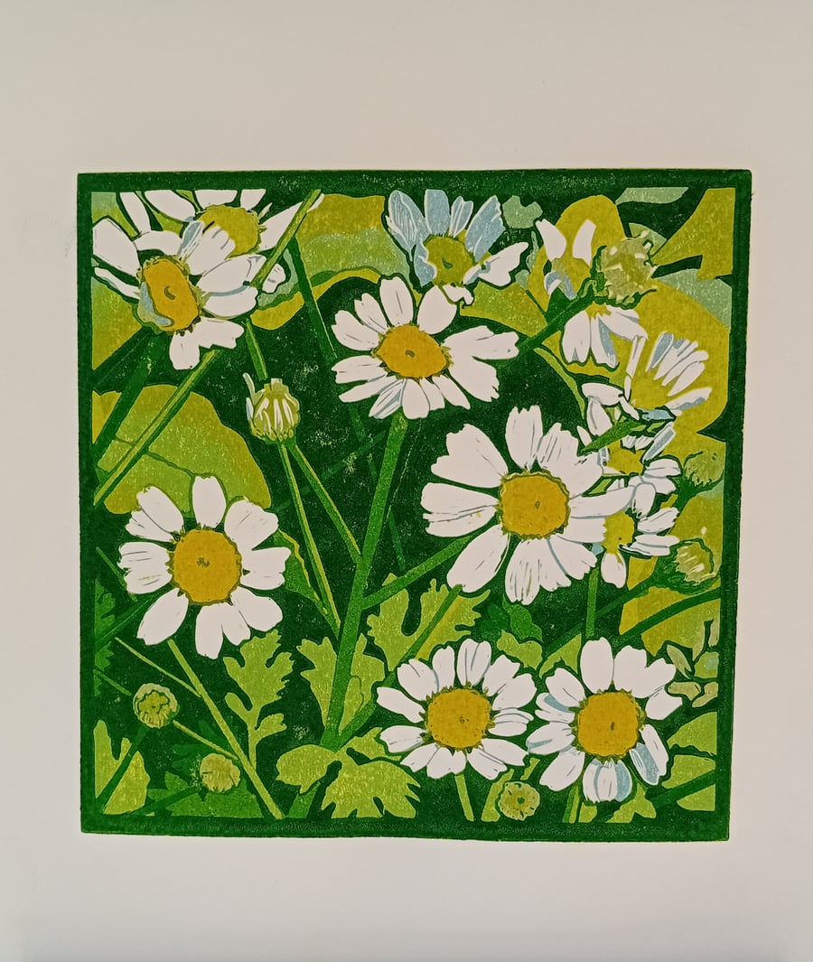 Daisies Lino cut print Feverfew