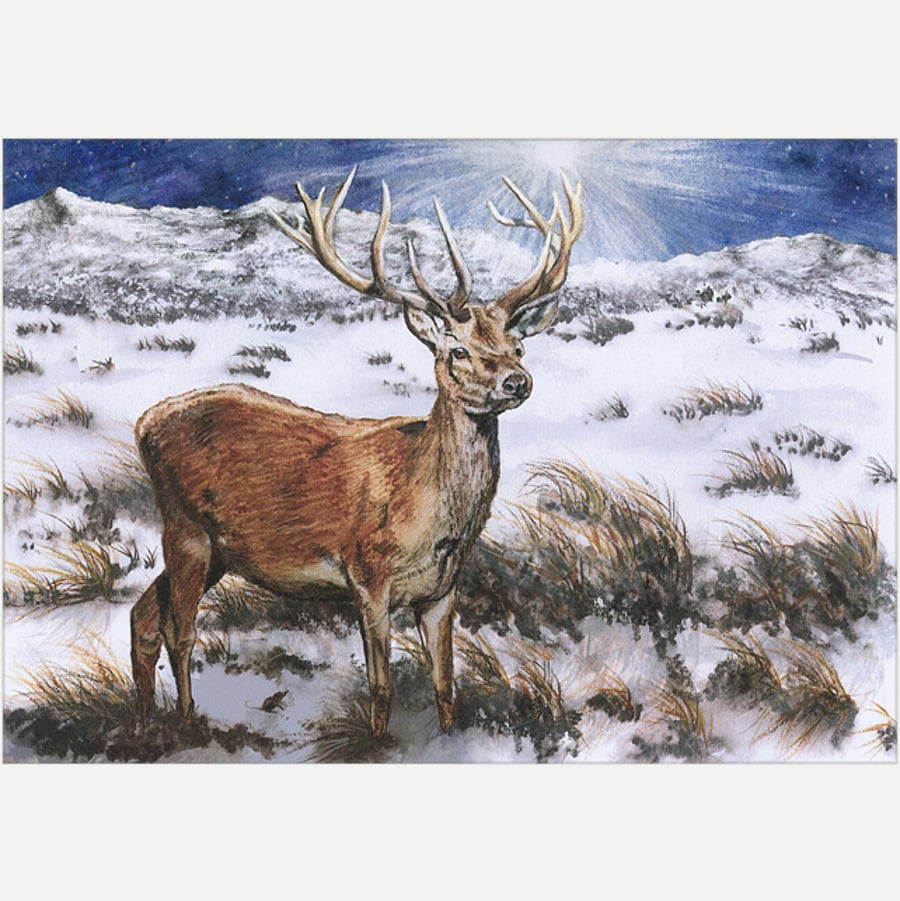 PACK OF 10 Christmas Cards A5 "By the Light of the Midwinter Star"