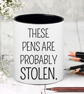 These Pens Are Probably Stolen - Novelty Funny Pen  Pencil Pot
