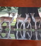 HERD OF DEER