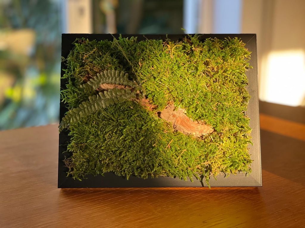 Framed Forest Vignette