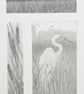 Pencil drawings 2 - Egret, Landscape and reedmace, original art, A5 drawing - Image 9