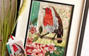 Birds & blooms
