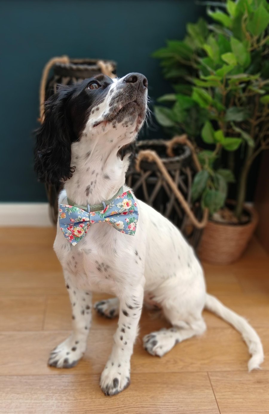 Handmade Fabric Dog Bow Ties, pet accessories 