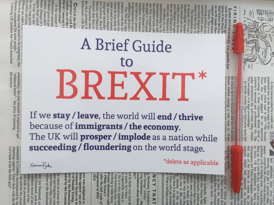 A Brief Guide to Brexit. Funny Political EU British Politics Print