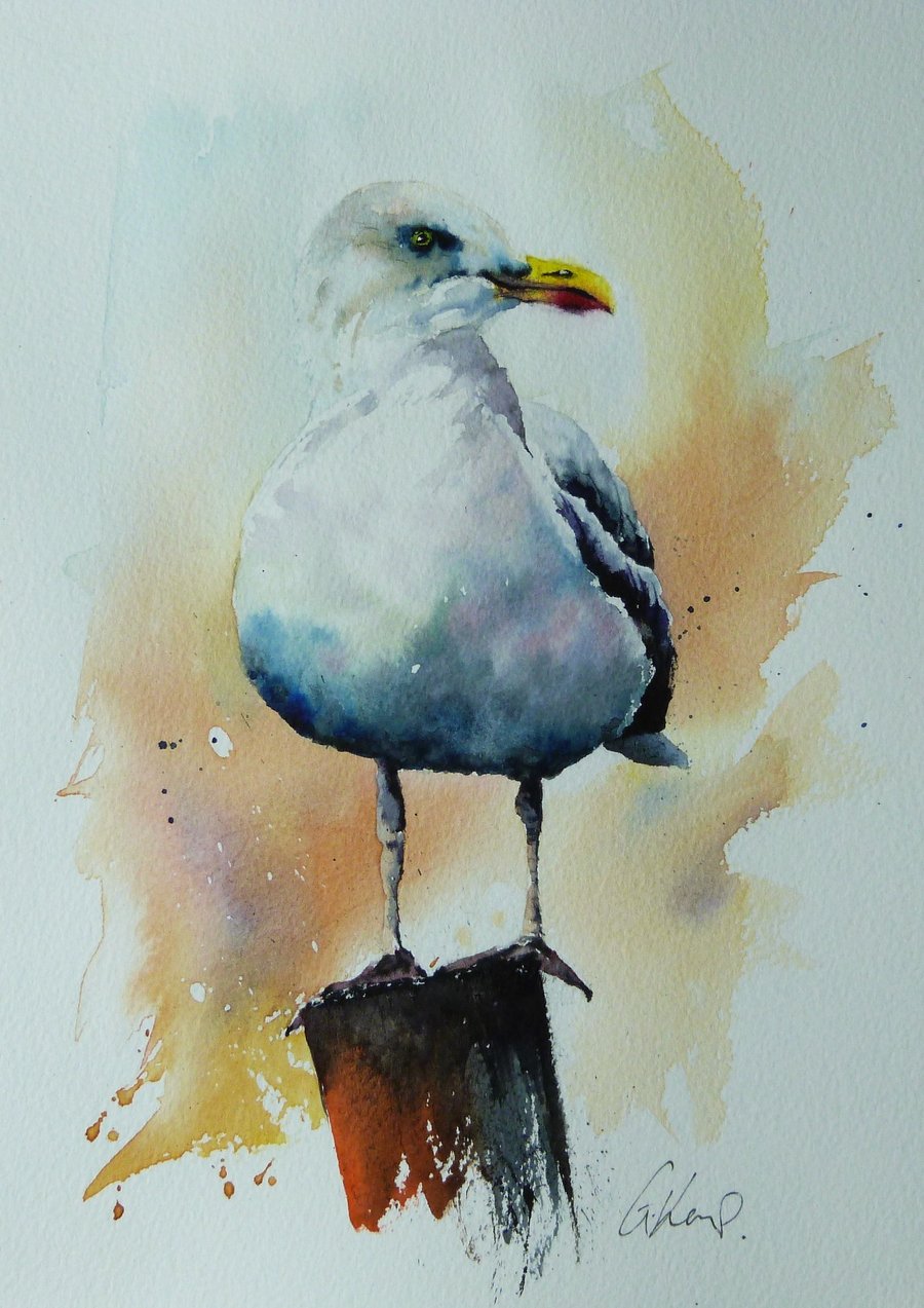 Seagull, Original Watercolour Painting.