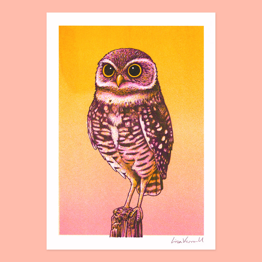 The Owl, 3-colour risograph print 