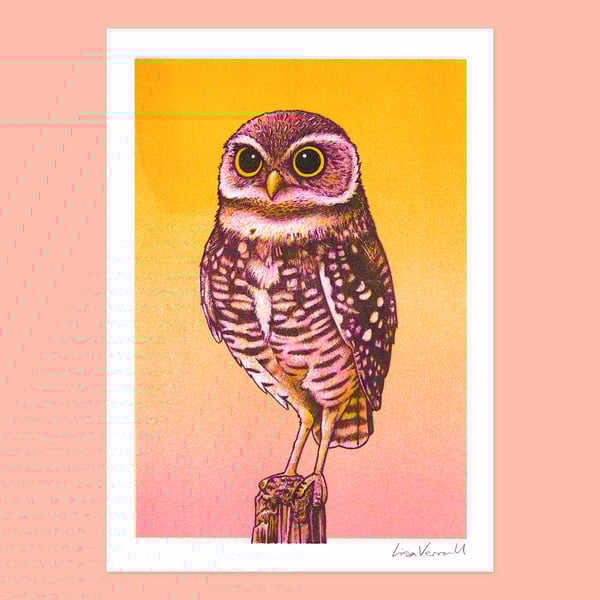The Owl, 3-colour risograph print 