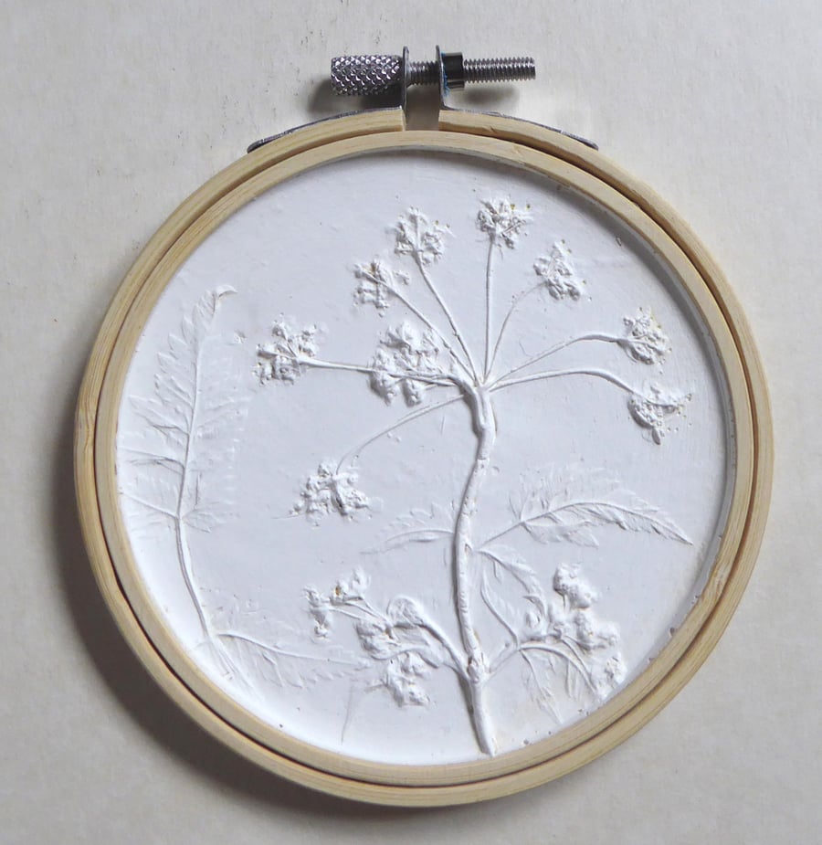 Plaster cast wall art   - Cow parsley - welcome home