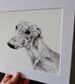 Sighthound Dog Print - greyhound, whippet, lurcher, galgo - Image 3
