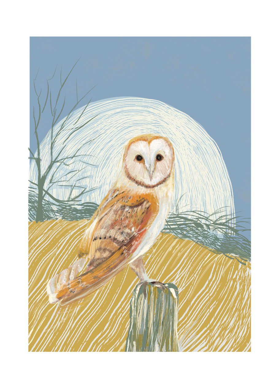 Barn Owl Art Print- wall art