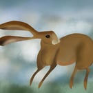 Limited Edition - A4 Brown Hare 'Morning Dew' Print