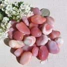 12 Apricot Agate Crystal Polished Tumblestones - Chakra - Reiki - Craft - Mosaic