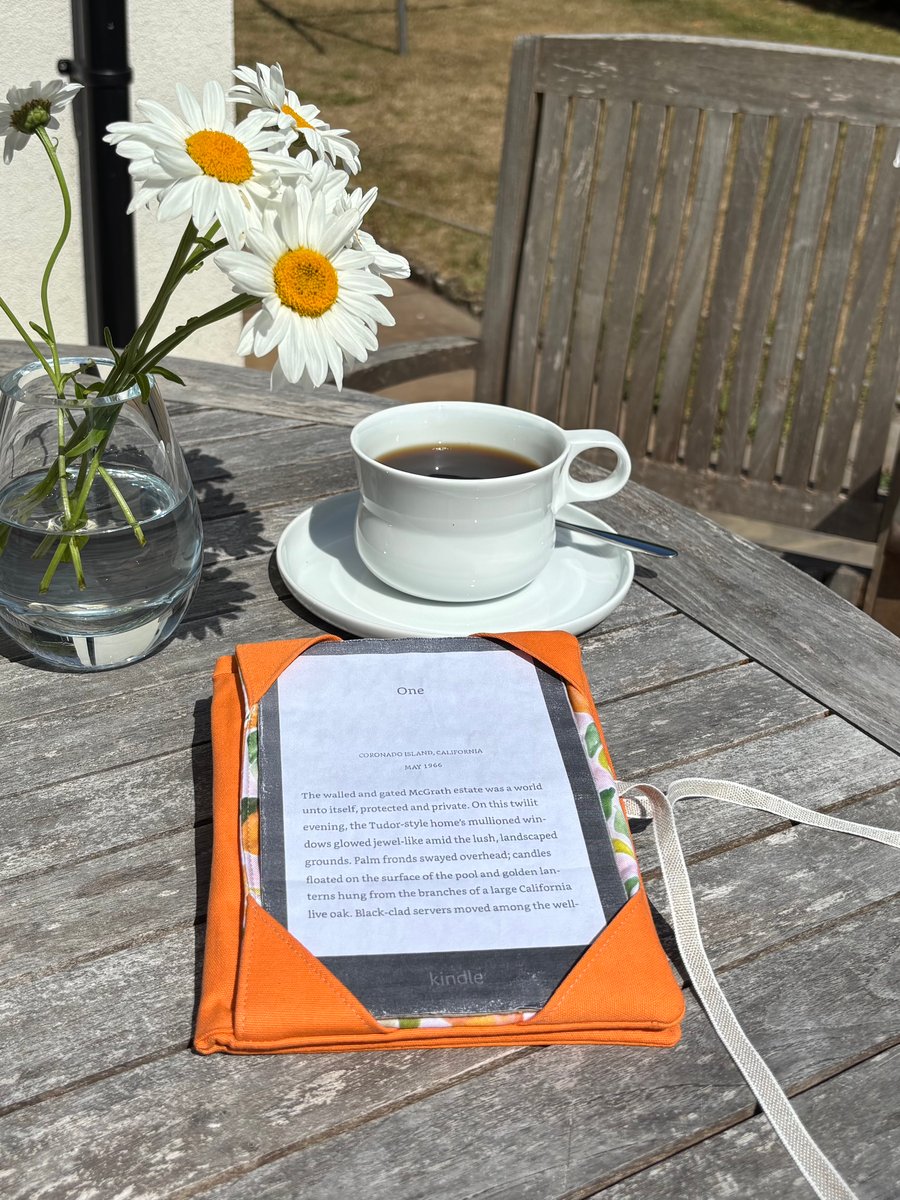 Kindle cover, lightly padded - for a kindle paperwhite