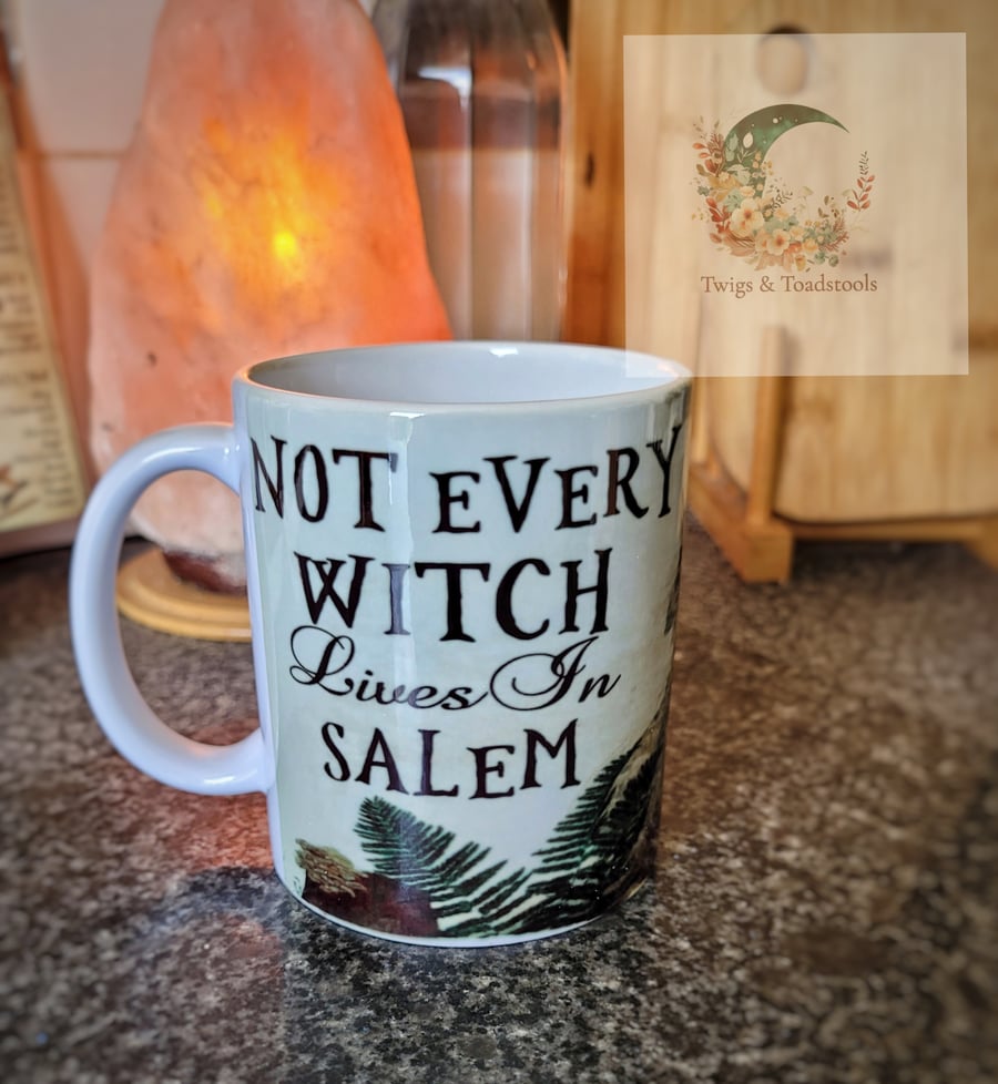 Not every witch lives in salem mug 