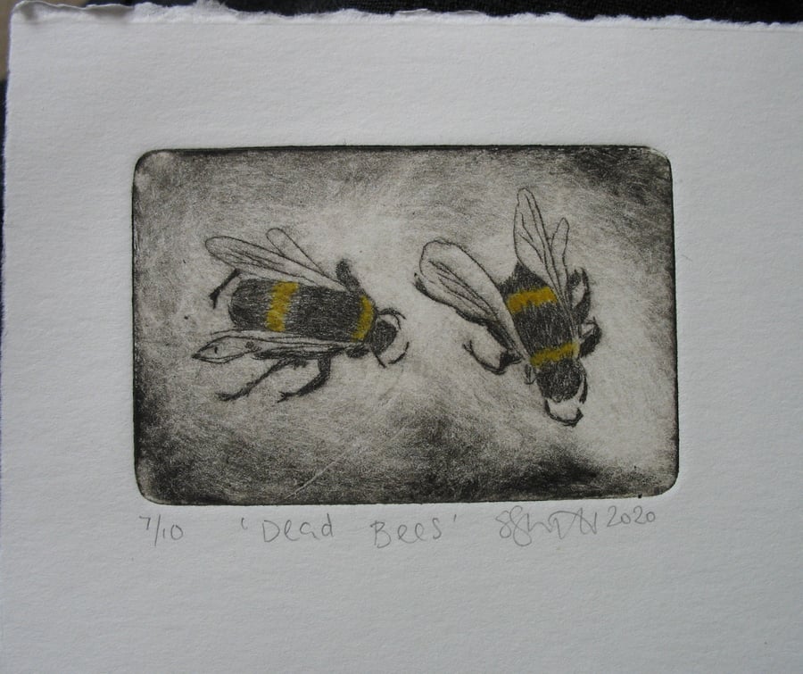 Moody drypoint etching 'Dead Bees'