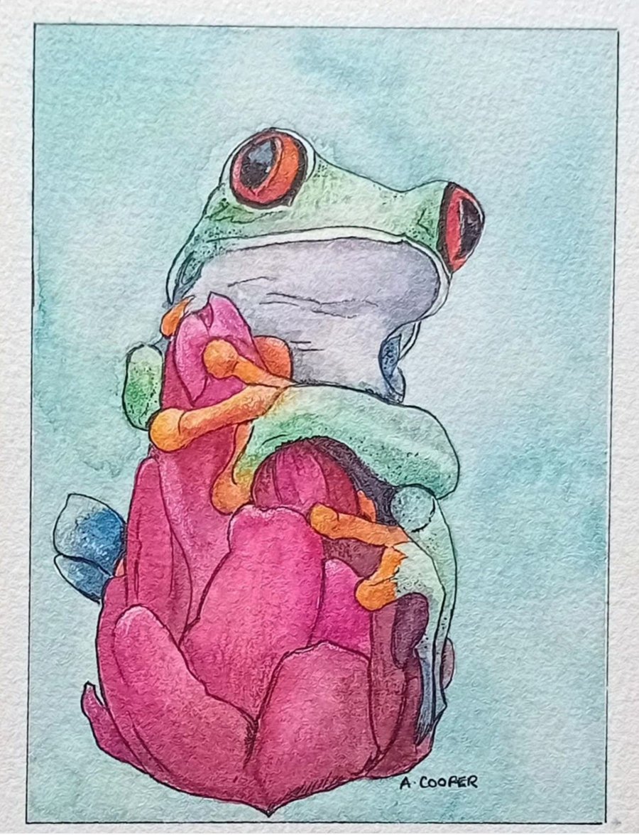 ,RED EYED TREE FROG, original, watercolour and fine liner painting 