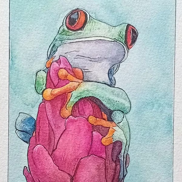 ,RED EYED TREE FROG, original, watercolour and fine liner painting 