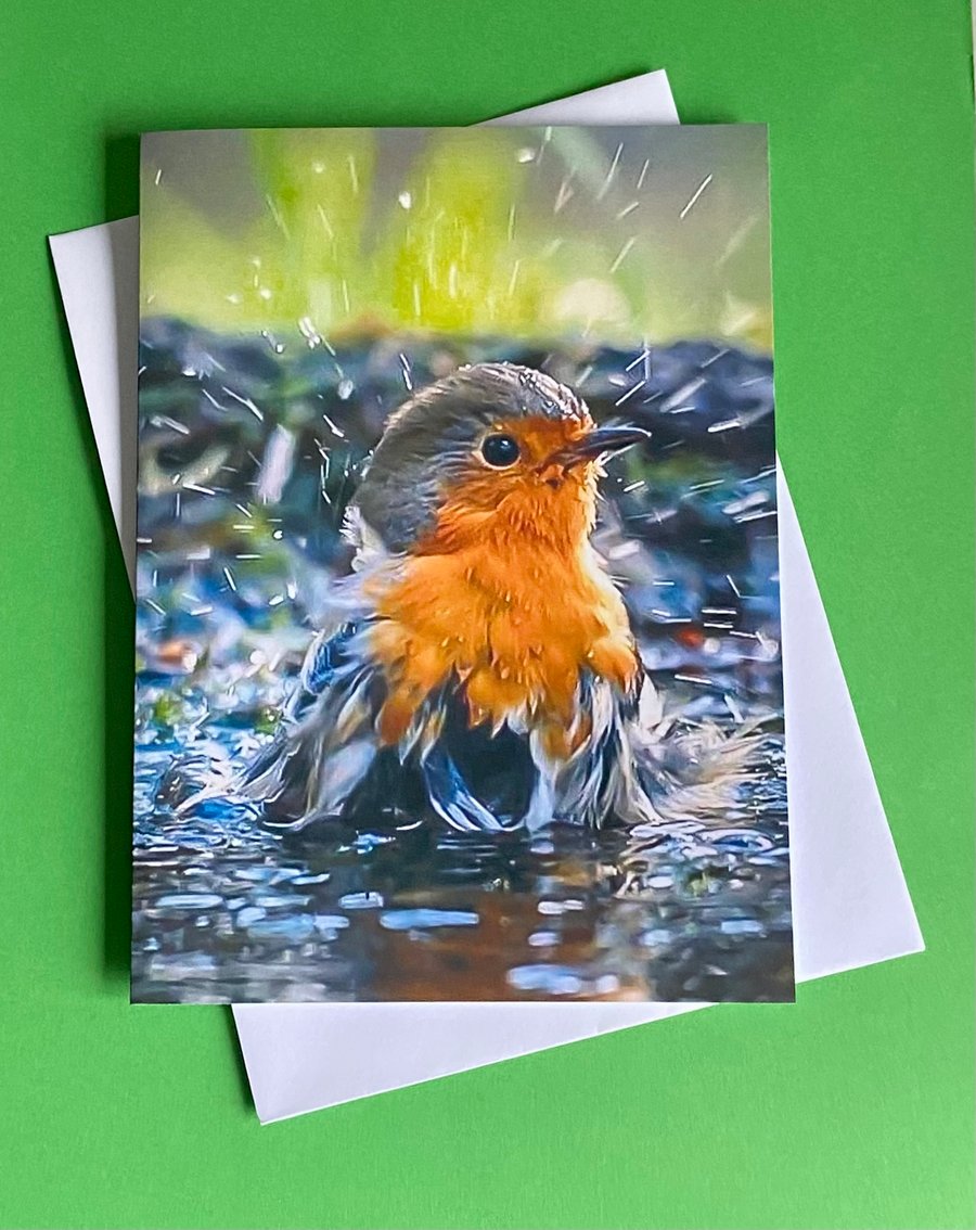 Robin Splashing Around - Photographic Print Greetings Card