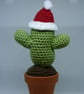 Crochet Cactus desert style, Christmas Cactus with removeable Santa hat.  - Image 2