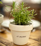Customisable Hand Painted Plant Pot - Ivory Base With Decorative Foliage - Image 8