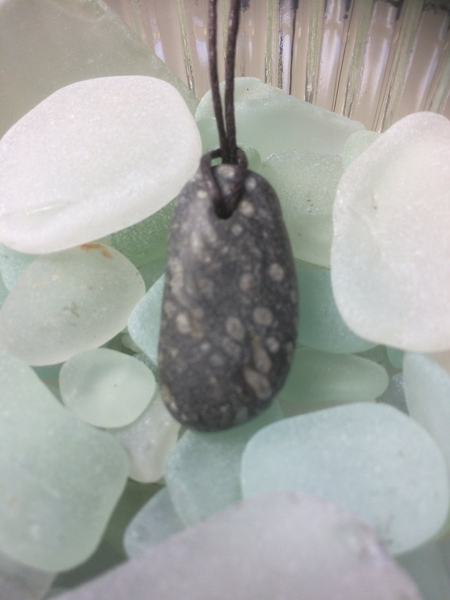 Pebble pendant with fossils 