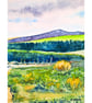 Clearbrook  Devon Dartmoor Landscape Original Watercolour Painting Mounted - Image 8