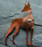 Podenco brooch - Image 1