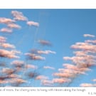 Impressionist Cherry Blossom Photography Print With A.E. Housman Quote