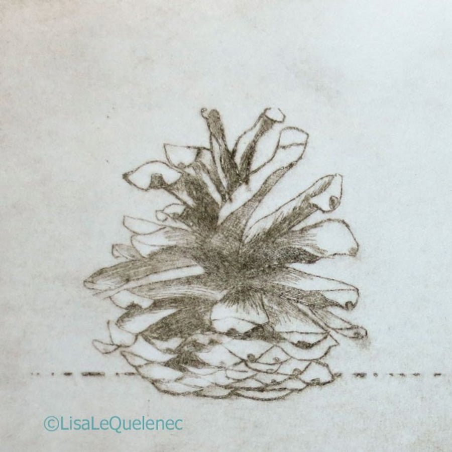 Original drypoint etching three pinecones still life study autumnal print