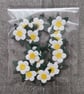 Pack of 20 Small White Mulberry Paper Daisy Heads.