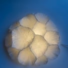 Paper table lamp - pod light