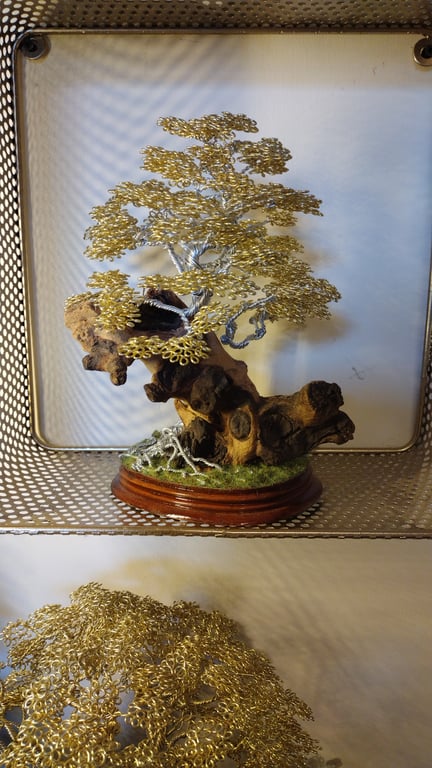 The golden Oak in imformal upright bonsai style on a wooden plynth 