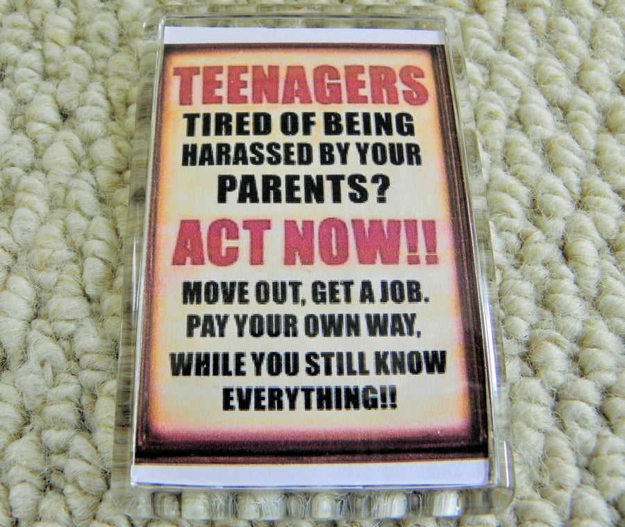 Teenagers! Fridge Magnet