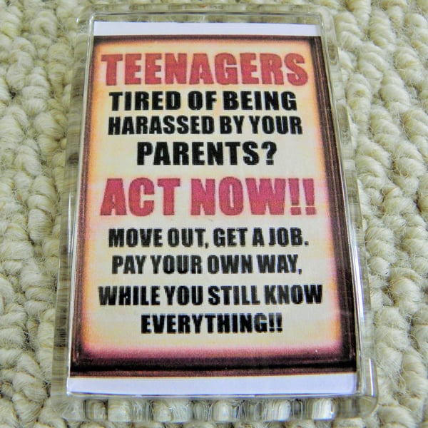 Teenagers! Fridge Magnet